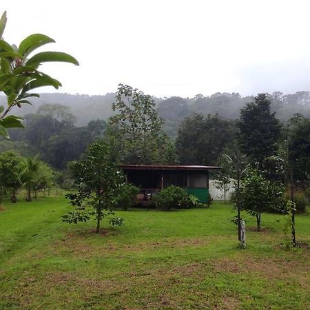 Eya Ecolodge San Isidro De El General Eksteriør bilde