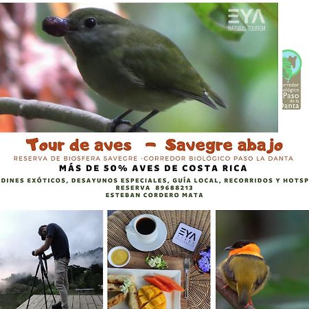 Eya Ecolodge San Isidro De El General Eksteriør bilde