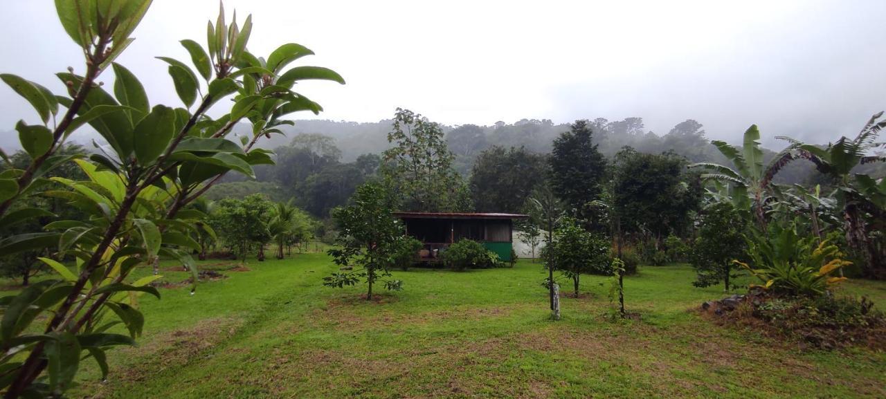 Eya Ecolodge San Isidro De El General Eksteriør bilde