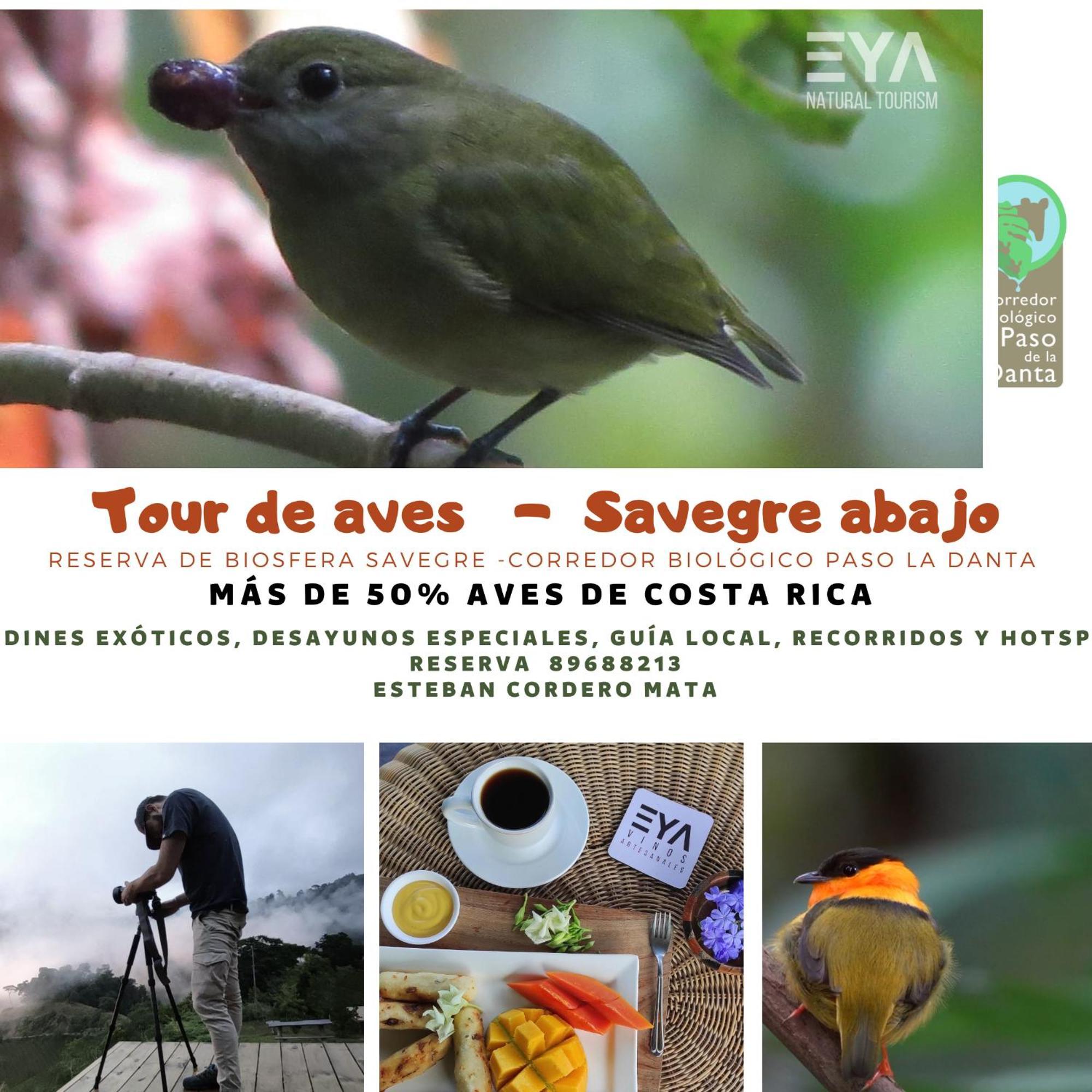Eya Ecolodge San Isidro De El General Eksteriør bilde