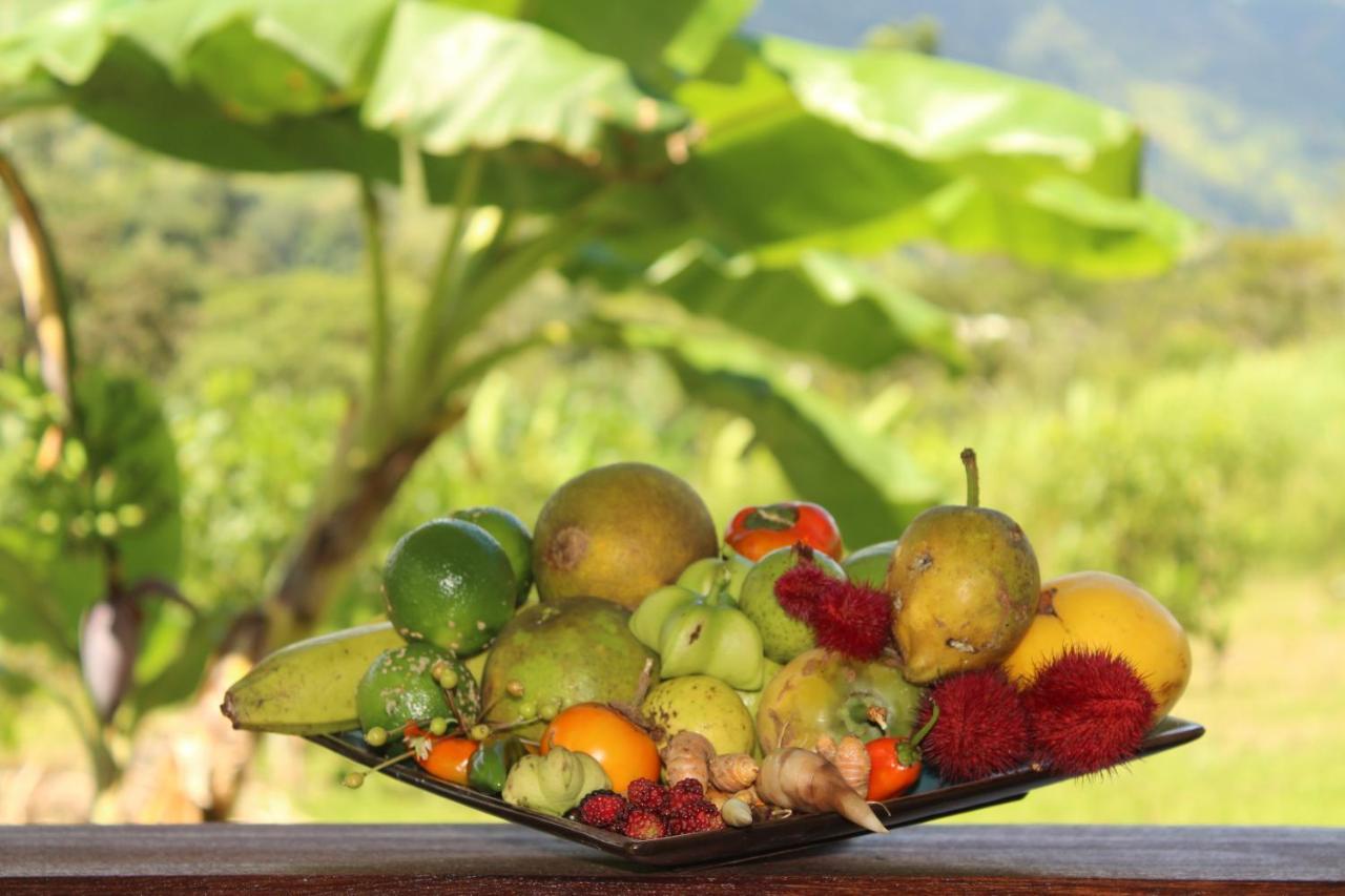 Eya Ecolodge San Isidro De El General Eksteriør bilde