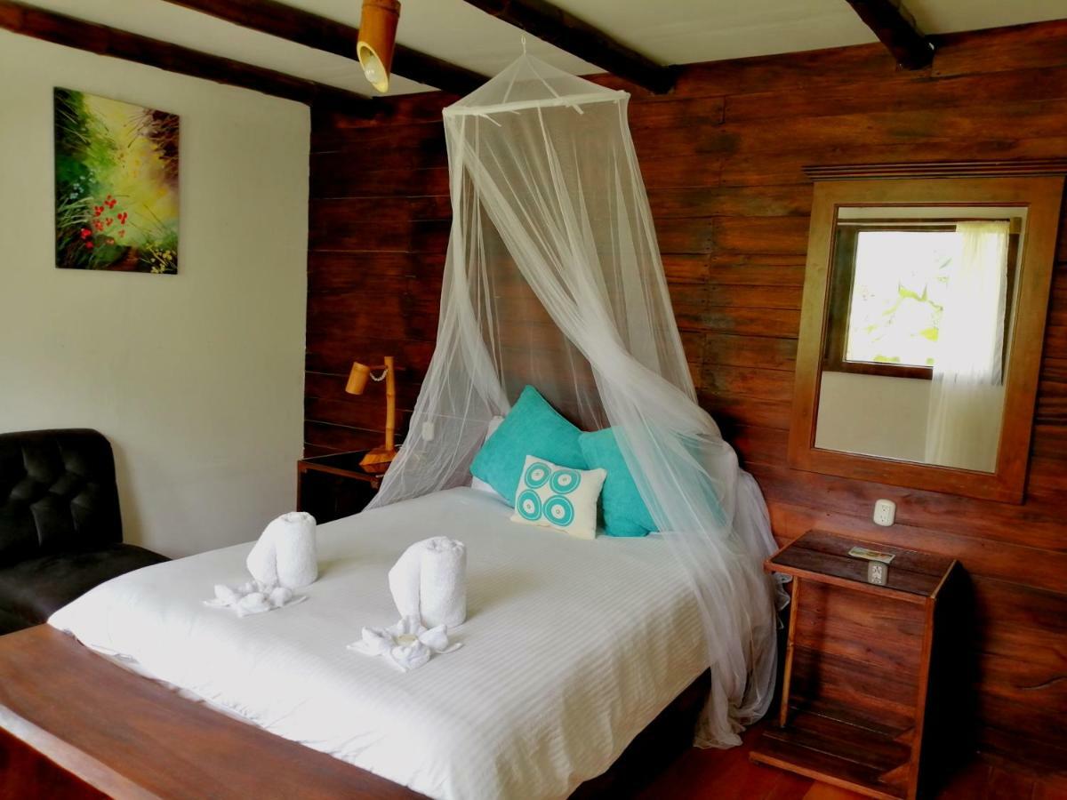 Eya Ecolodge San Isidro De El General Rom bilde