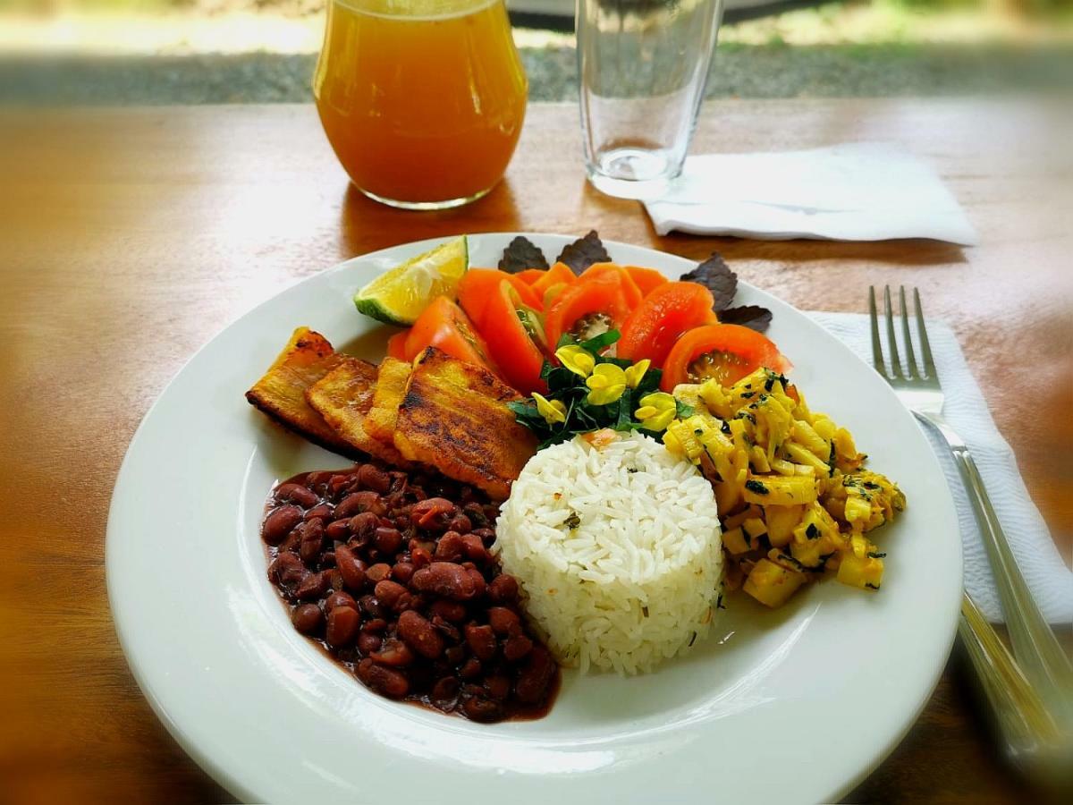 Eya Ecolodge San Isidro De El General Eksteriør bilde
